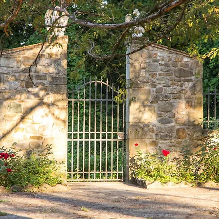 Turri - Luxury Country & Padel Villa